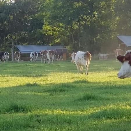 Glamping des 2 Marguerites Hotel Bazoches-au-Houlme Bagian luar foto
