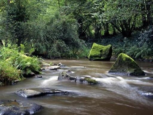 Glamping des 2 Marguerites Hotel Bazoches-au-Houlme Bagian luar foto